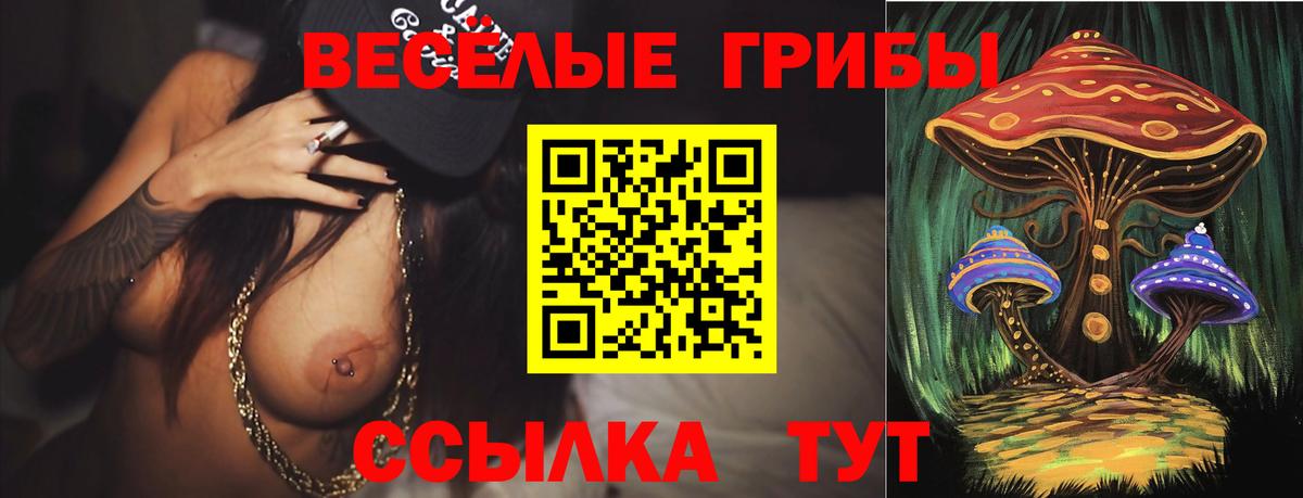 Галлюциногенные грибы ЛСД Бугуруслан